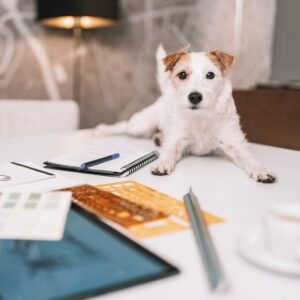 # 2 Wie kommst du denn nun konkret an deinen Einrichtungs-Wunschkunden?