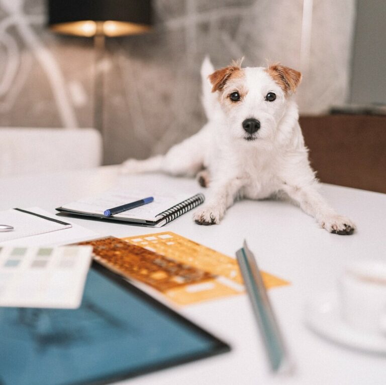 # 2 Wie kommst du denn nun konkret an deinen Einrichtungs-Wunschkunden?